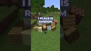 Minecraft, But Every Block You Place Is Random... #shorts