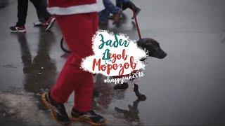 Забег Дедов Морозов — в поддержку фонда «Вера»