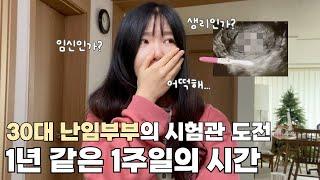 난임부부의 시험관 도전, 과연 1차 이식 결과는? 시험관 VLOG
