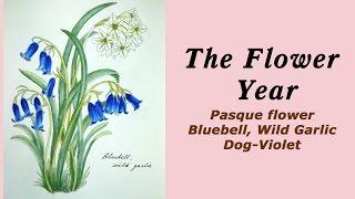 Colouring 'The Flower Year' Pasque flower, Bluebell, Dog-Violet / Раскраска-антистресс