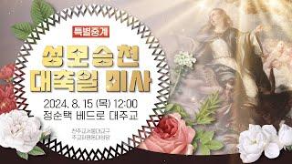 [특별중계] 성모 승천 대축일 미사 (12:00) | 정순택 베드로 대주교(서울대교구장) 주례 | 주교좌 명동대성당