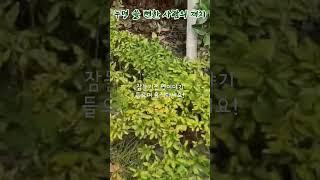 #어른들을위한 #전래동화듣기 #옛날이야기 #중간광고없음