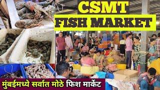 CST. Fish Market Mumbai  / Wholsale Fish Market CST / Wholesale Fish Market Mumbai #cst