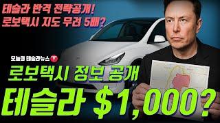 테슬라 $1,000 간다?! 웨이모보다 5배 넓은 오스틴 로보택시 지도 공개!