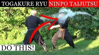 HOW DID THE NINJA DISARM THE SAMURAI? Togakure Ryu Ninpo Taijutsu: Ninjutsu Techniques