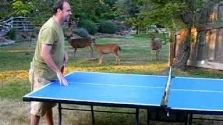 Deer Pong!