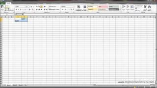 Copying and Pasting in Excel | My Excel University Lesson 1:2