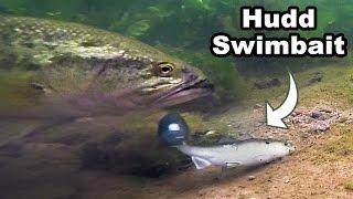 Craziest Underwater Swimbait Footage You Have EVER Seen! Huddleston GoPro Big Bass