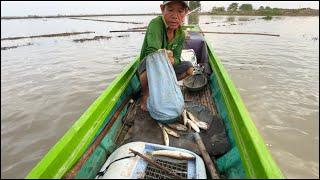 TẶP .33. bữa nay hai anh em trúng bầy cá lóc lứa dính thấy mê luôn/GIÓ LÀNG QUÊ