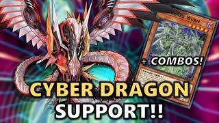 Cyber Dragon Support Post Alliance Insight! Deck List, Combos, Discussion | 2025