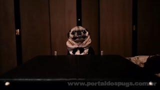 Doritos - "The Dogfather" - Comercial de TV - Propaganda com Pug