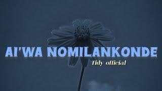 Tidy official__Ai'wa nomilankonde__(official LV) 2024