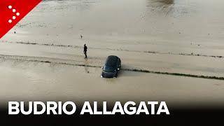 Nuova alluvione in Emilia-Romagna, estesi allagamenti a Budrio per tracimazione Idice