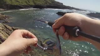 LRF Devon - Wrasse and Rockpools