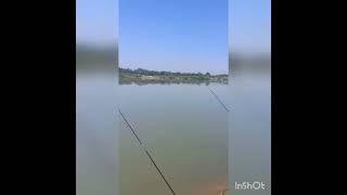 Сырдарья!Яллама! отдых)