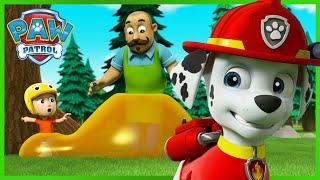 Marshall saves campers covered in sticky syrup and more! - PAW Patrol Episode - Cartoons for Kids