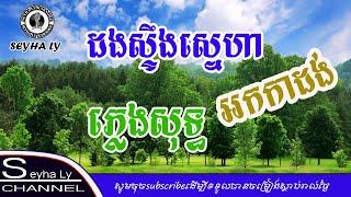 ដងស្ទឹងស្នេហា ភ្លេងសុទ្ធ អក់កាដង់ [Seyha Ly Karaoke]