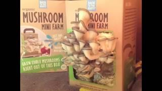 Back to the Roots Mushroom Farm 10 Day Growth