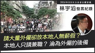 林宇滔立法會發言紀綠｜關於本地人就業及外僱政策｜口頭質詢