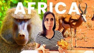 Garden Route Journey From Cape Town to Addo Elephant Park TINY HOUSE TOUR | Travel to South Africa 