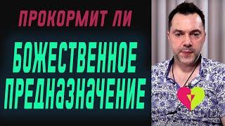 Божественное  предназначение. Как заниматься любимым делом? | Олексій Арестович