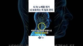 뇌 속 노폐물을 배출하는 목 림프관 #shorts