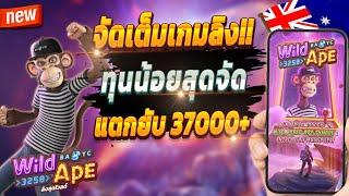 สูตรสล็อต สล็อตออนไลน์ สล็อตล่าสุด 2024  Wild Ape : จัดเต็มเกมลิงปังๆ