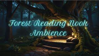 " Night Forest Reading Nook Ambience | Relaxing Sounds of Nature for Reading, Study, & Sleep"