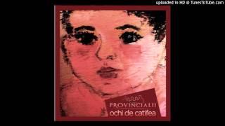 01.Provincialii - Canta tiganii mei