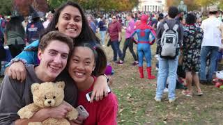The Traditions at UVA