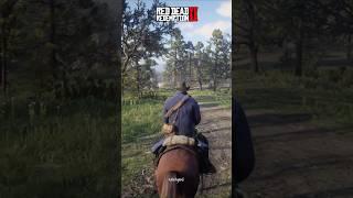 Rainy Day vs Sunny Day in RDR2 | Which Do You Prefer? ️ #shorts #reels #viralvideo #rdr2missions