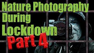 Nature Photography During Lockdown Part 4 - How to do water droplet photography