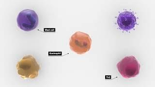 Updates in Eosinophilic Esophagitis: Underlying Mechanisms and Novel Targeted Therapy