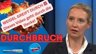 Weidel greift durch - Dieses Video geht durch die Decke