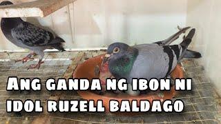 ANG GANDA NG IBON NI IDOL RUZELL BALDAGO |Reggie Cruz Loft & Aviary #reggiecruzloftandaviary