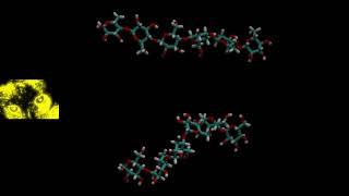 Oligosaccharides, dynamics through simulation