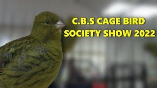 Cage bird society bird show 2022