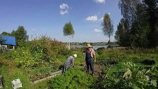 Войны заканчивают мудрые люди