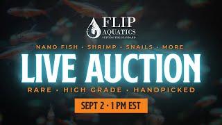 Flip Aquatics Live Auction - Freshwater Nano Fish, Shrimp, Snails & More!