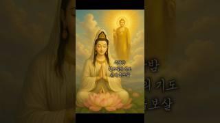 주말밤 관세음보살 – 자비로 하루를 마무리합니다#관세음보살 #주말밤기도 #불자정진 #나무관세음보살  #저녁염불 #불교명상 #자비염불 #힐링염불