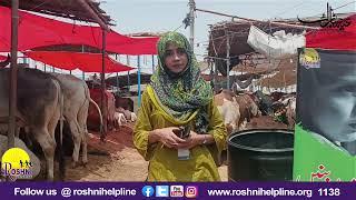 Please keep in mind that the animal markets are very dangerous places for children