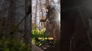 Chasing after elk in dark timber