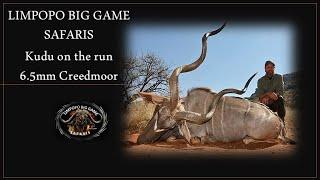 6.5 Creedmoor kills 60 inch Kudu on the run.