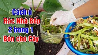 Cách ủ rác nhà bếp 2 trong 1 vừa ủ vừa bón cho cây.