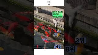 베스트셀러《따뜻한 여사의 월간 집밥》
