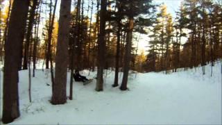 snowboarder vs tree watch this!