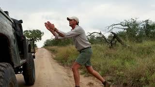 WildEarth presents Safari Spotlight