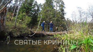 #Экотропа Святые Криницы. #Удивительные места #Отдых.