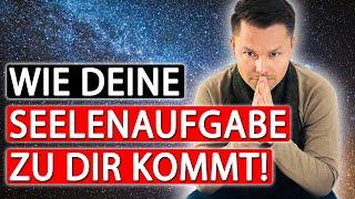 Deshalb findest Du deine Seelenaufgabe nicht! | Maxim Mankevich