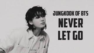 Jungkook Of BTS - Never Let Go (Lyrics) #kpop #rnb #lyrics